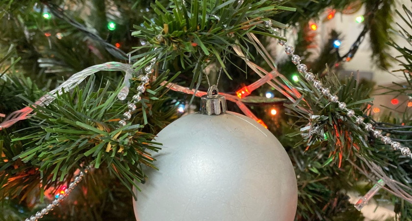 В Шадринске ёлочные базары откроются с 15 декабря