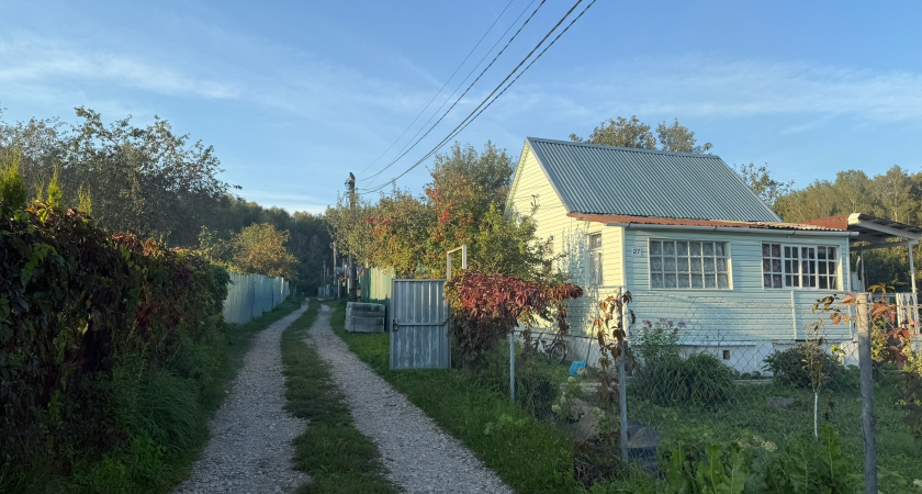 Курганцы устроили распродажу дач под конец 2025 года