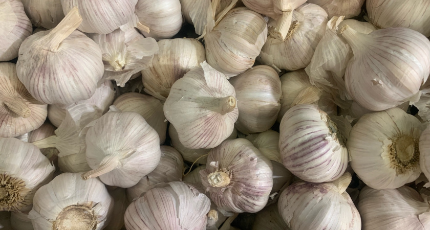 Почему я никогда не выбрасываю чесночную шелуху в мусорку: это настоящее золото - лучший способ применения для хозяек