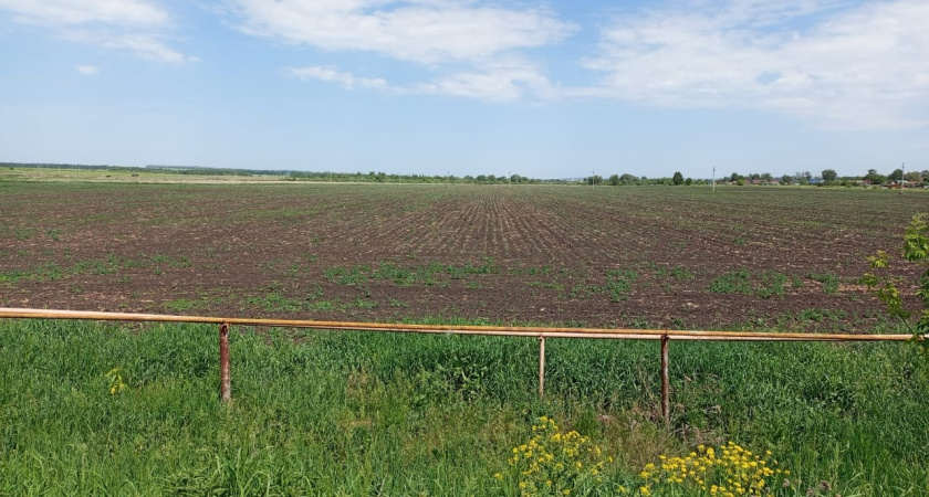 В Курганской области власти округа незаконно отдали землю бизнесменам