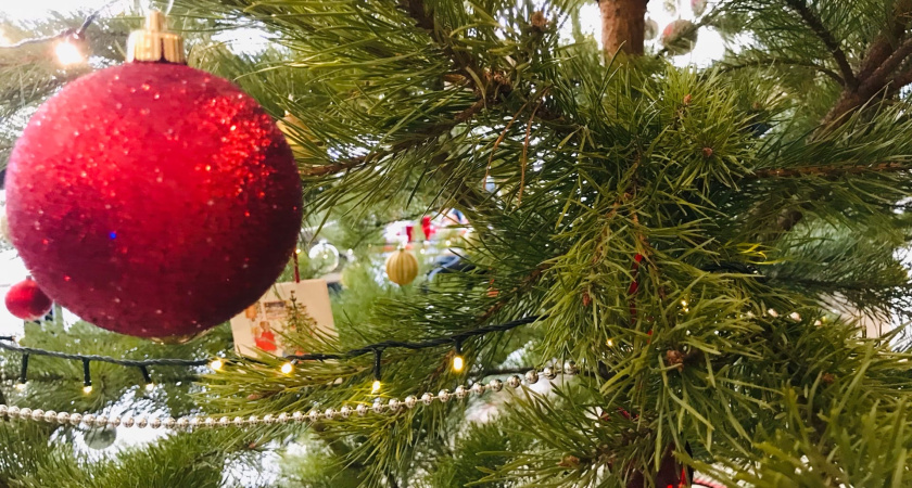 Сколько стоит собрать ёлочку к Новому году в Кургане?