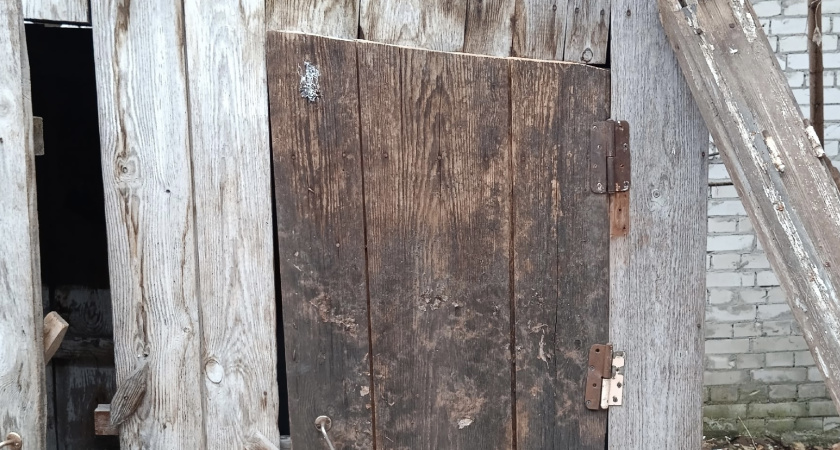 «Стоит еще с царских времен»: жители многоквартирного дома в центре Кургана вынуждены справлять нужду на улице