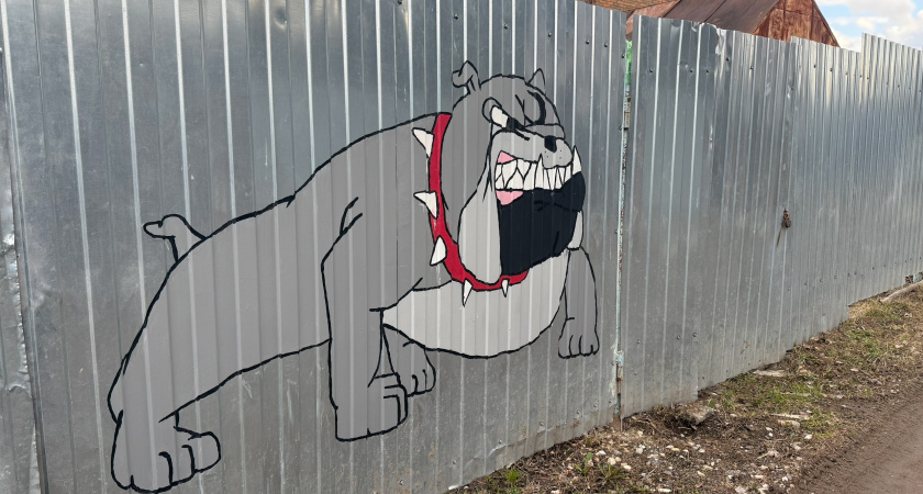 Подвешиваю бутылку с водой к забору и радуюсь своей выдумке: раз и навсегда решил одну деликатную проблему