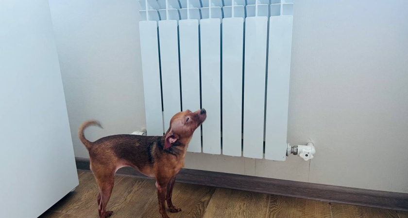 В городе Курганской области компания не обеспечила жителей отоплением