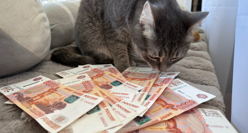 Курганская область получила сотни миллионов на повышение зарплат бюджетников