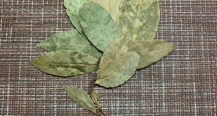 Закопайте лаврушку в огороде: весной вы обомлеете от результата - достаточно сделать лунки по 5 сантиметров