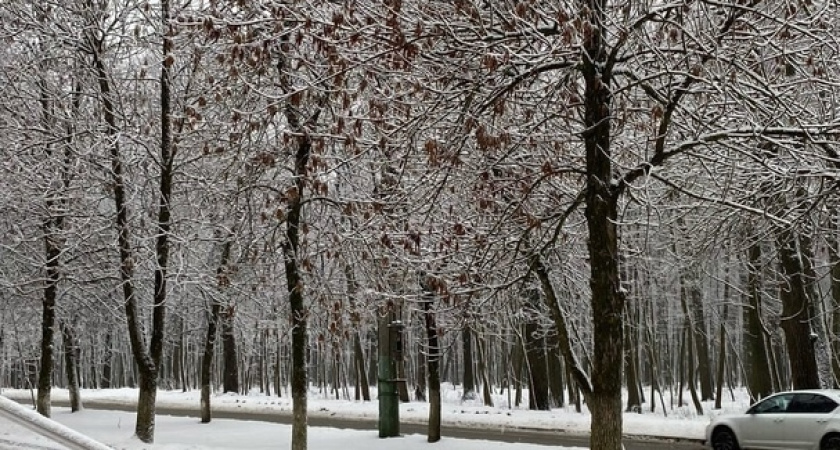 В Центре туризма Курганской области  произошла смена руководства 