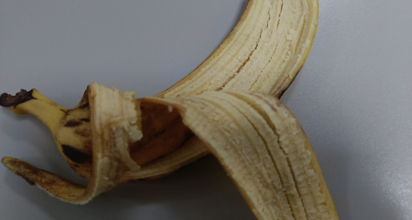 К зиме отпаиваю декабрист банановым настоем по моему рецепту: цветет не недельку, а круглый год выбрасывает новые бутоны