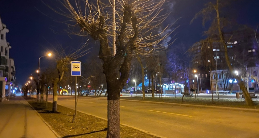 Семья из Кургана поборется за 5 миллионов на конкурсе в Москве