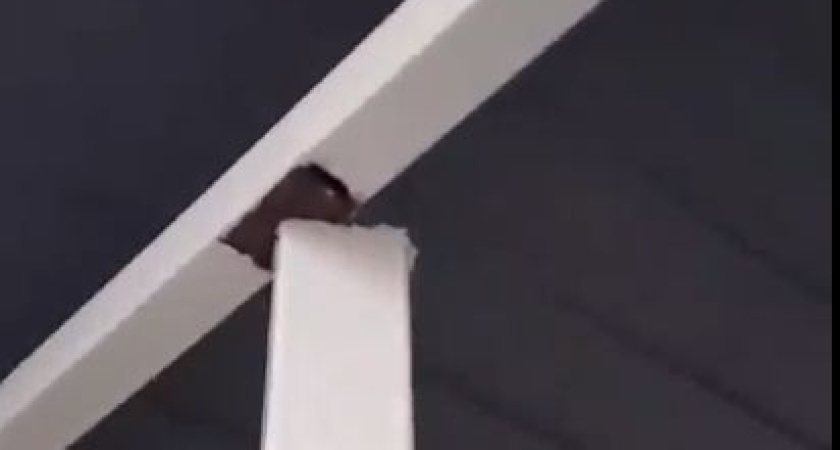 "Держится на честном слове": жители Кургана боятся, что остановка возле школы №7 рухнет им на головы