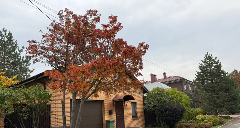 "С шашлычком и банькой": сколько стоит снять домик на Новый год в Кургане 