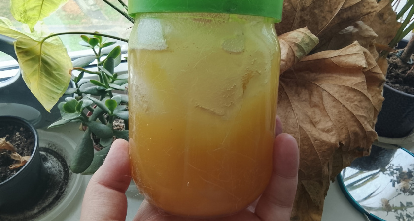 Китайские бизнесмены интересуются курганским медом