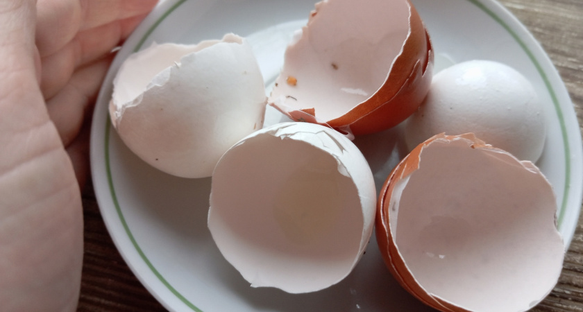 Сделал холодную сварку из скорлупы: дедовский способ сработал быстрее и надежнее магазинных месей - сцепка на века