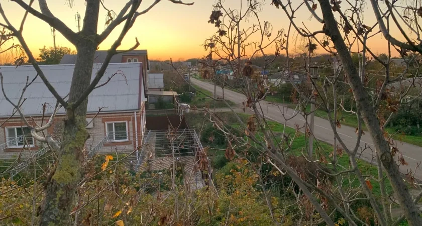 Спиливаю деревья на своем участке: без разрешений и волокиты с документами - мне подсказали 8 способов остаться правым и облагородить сад