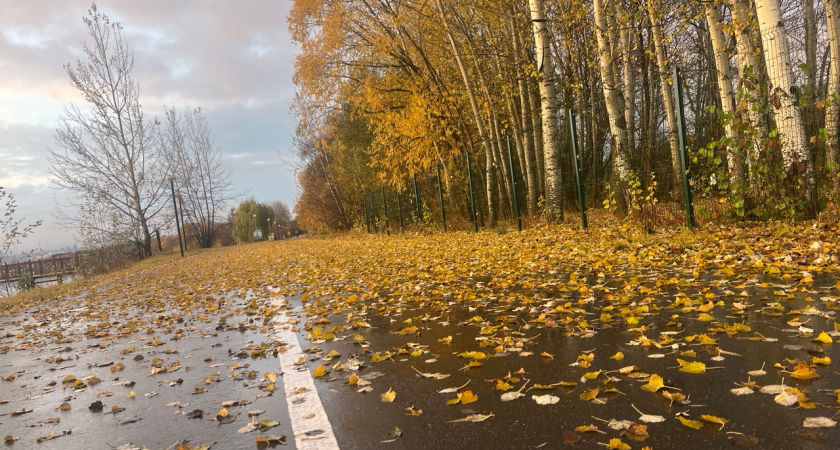 Курганское ТСЖ оштрафовало жильцов многоэтажки за пропуск субботника: один из собственников через суд добился компенсации. Подробности 