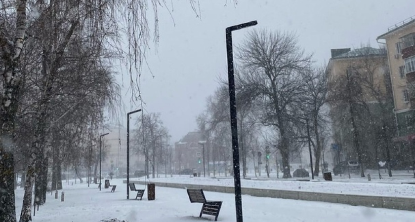 Сотрудникам избирательной системы Курганской области Вадим Шумаков вручили награды