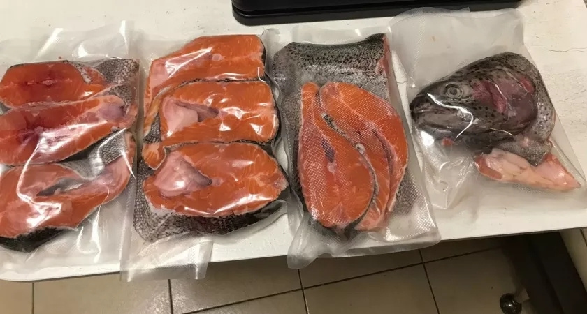 В Светофоре появился австралийский лосось: как только приготовил на ужин, сразу понял - вот что не так с этим красным "мясом"