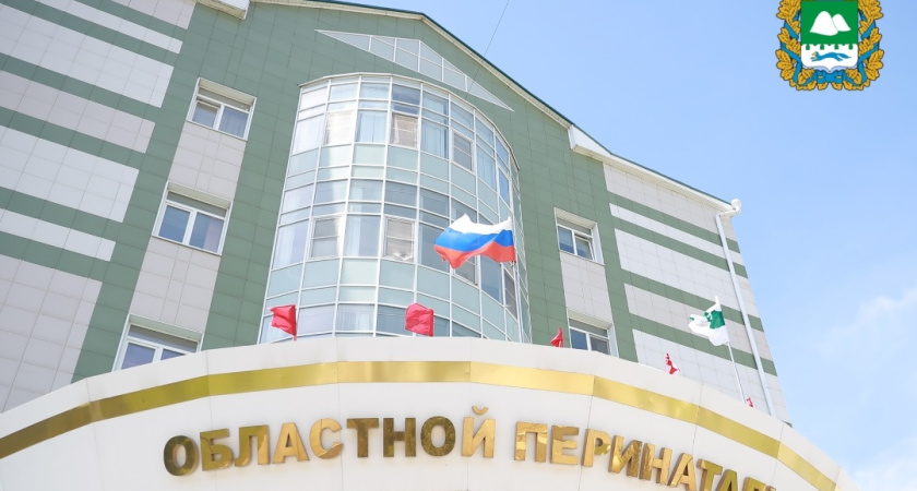 Девять пар двойняшек и малыш-рекордсмен: итоги ноября в перинатальном центре Курганской области 