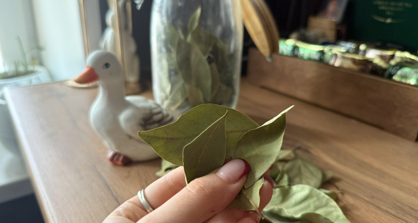 Закопайте лавровый лист на участке: вы обомлеете от результата весной