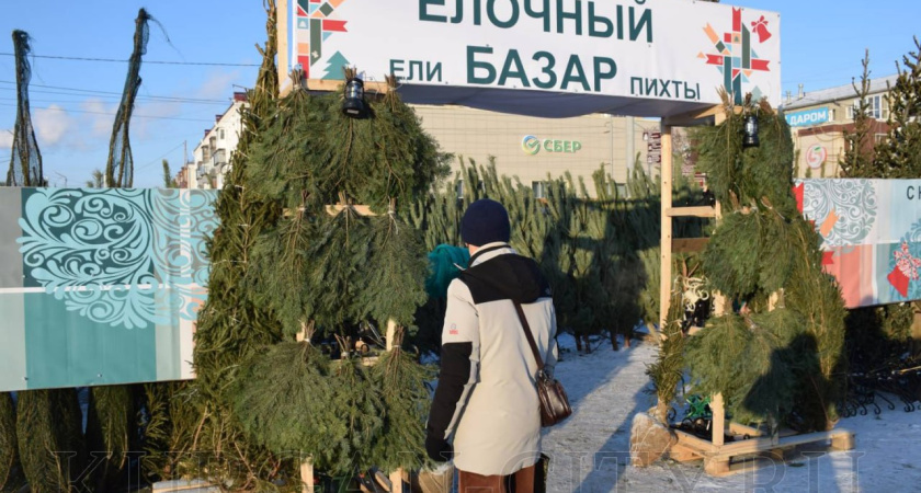 Где купить новогоднюю елку в Кургане — точные адреса