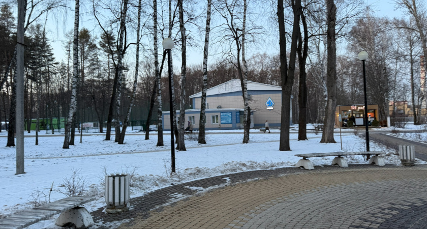 В Кургане директору колледжа культуры Людмиле Евлоевой присвоили почетное звание