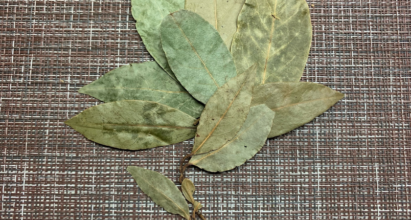 Зачем в рассаду добавляют лавровый лист: урожаю удивятся все соседи