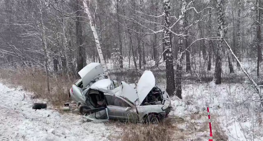 На трассе Шадринск—Ялуторовск женщина погибла при попытке обгона