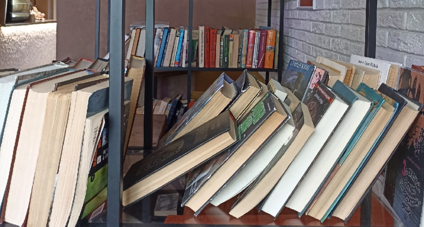 В курганской библиотеке имени Югова презентовали новогодний детский журнал «Югоша»