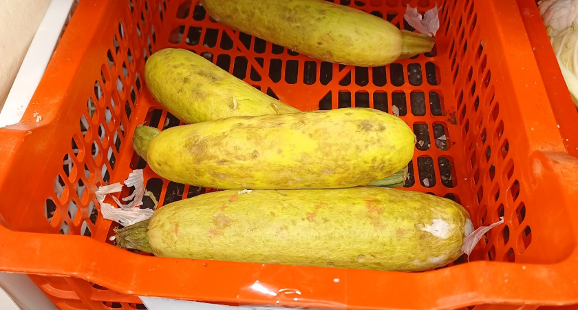 "Тухлятина, а стоят как чугунный мост": курганцев возмутили пропавшие кабачки в одном из магазинов города