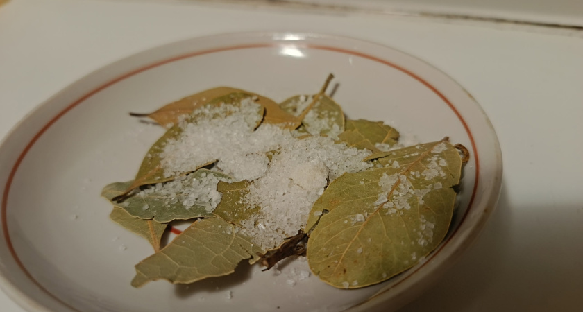 Беру лавровый лист засыпаю солью и ставлю это на подоконник. 2 серьезные проблемы исчезают за 1 раз