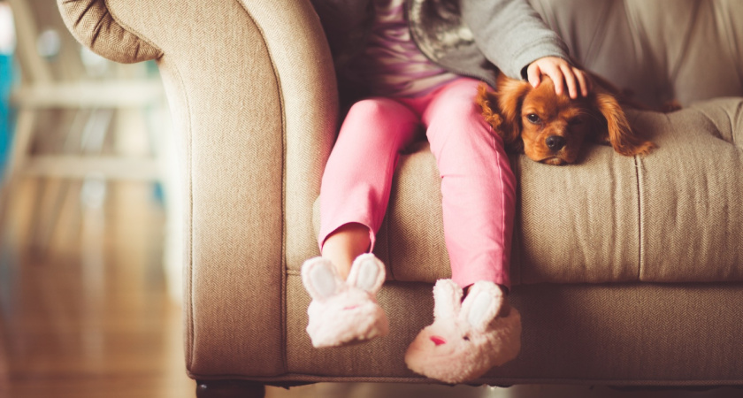 Чистые лапы за 5 минут: узнал простую инструкцию для псов после прогулки - дома больше нет грязных следов 