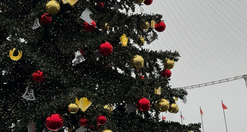 Маленькие курганцы побывали на Ёлке главы города