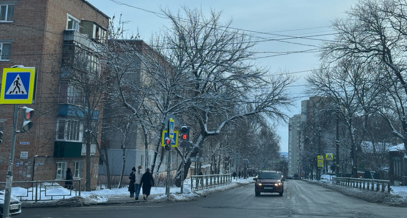 В Курганском госуниверситете открыли «Дом Знаний» для просветительской работы и развития молодежи