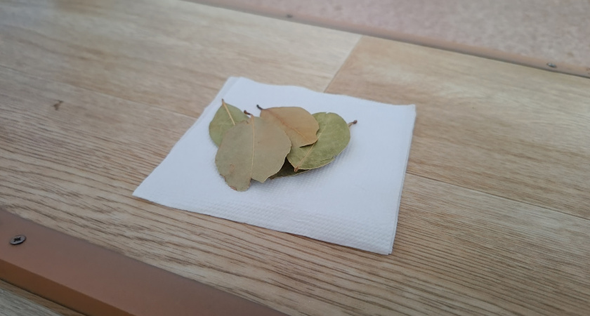 3 января перед полнолунием положите лавровый лист на порог: как привлечь удачу на целый год 