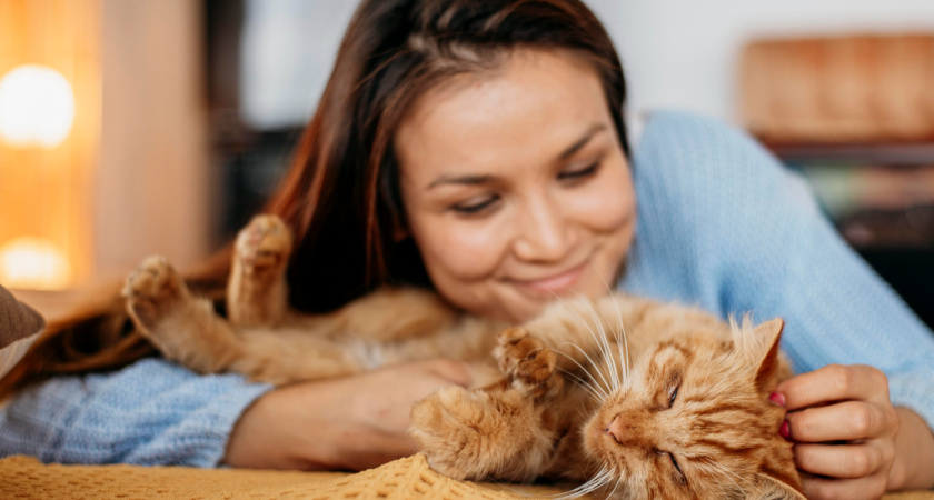 Радуйтесь, если кошка лезет в лицо: 7 признаков, что вы для нее — особенный
