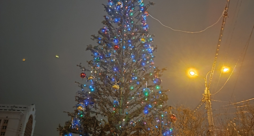 Артисты Курганской филармонии устроили «Новогодний почти концерт»