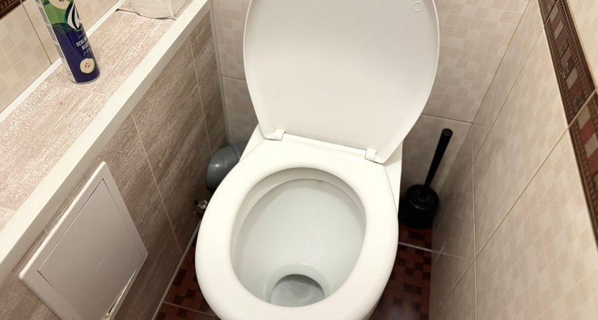 На ночь заливаю чудо-средство в унитаз: утром туалет сверкает даже в темноте - и аромат сказочный