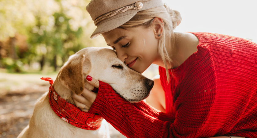 Секретный код доверия: как сказать собаке «я тебя люблю» на её языке — 7 простых жестов и никаких слов