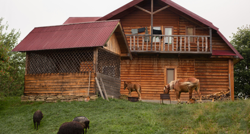 Счет за свет 60 000 и вечная борьба с мышами: честный отзыв о жизни в деревне, когда реальность оказалась жестче мечты