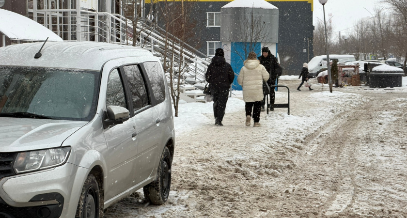 В Курганской области в 2025 году 14 жителей стали лотерейными миллионерами