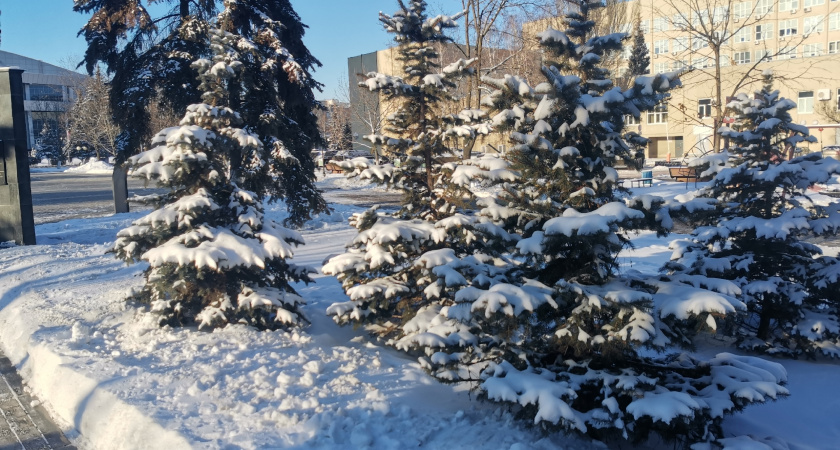 Курганский губернатор попросил земляков не пить в Крещенские морозы