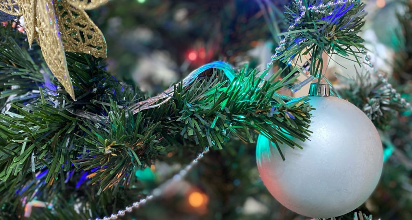 В Кургане новогодние ели с мусорок планируют вывозить раз в неделю