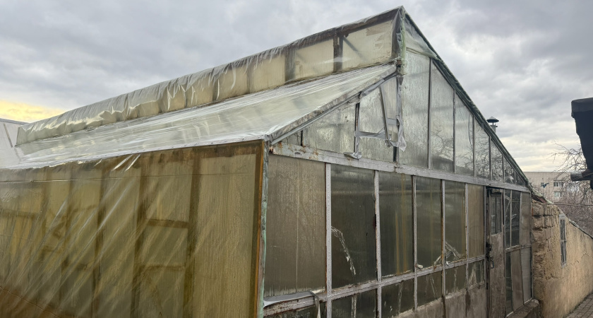 Зимой закидываю снег в теплицу: простой уход и обогрев без затрат