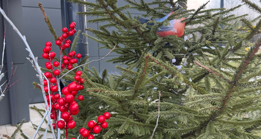 На центральной площади Кургана состоится Крещенский фестиваль