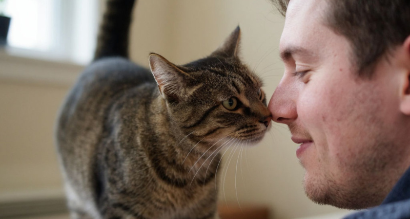 Почему кошка поворачивается задом к лицу хозяина: эксперт объяснил смысл самого неловкого кошачьего «приветствия» — это не хамство