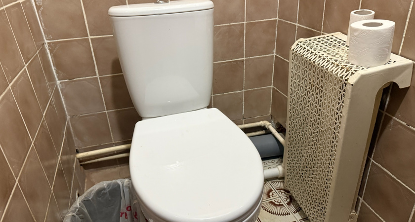 После одного случая никогда не оставляю открытой крышку унитаза. Запомните раз и навсегда