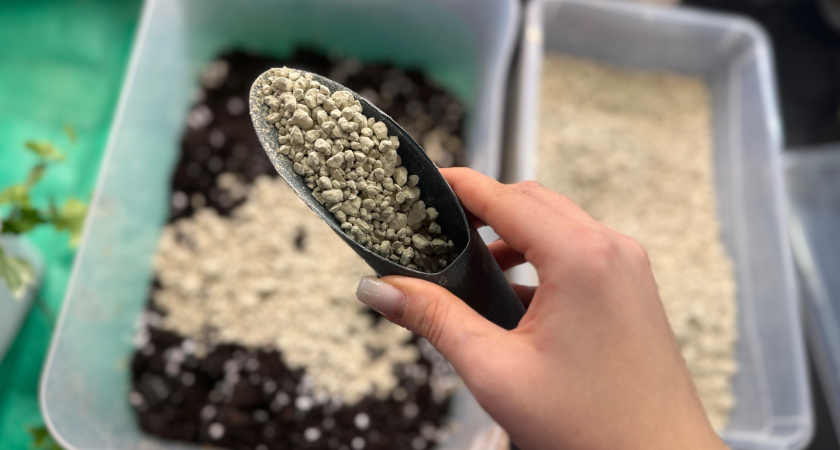 Сыпьте хоть по снегу: рейтинг лучших копеечных удобрений - весной почву на участке не узнаете