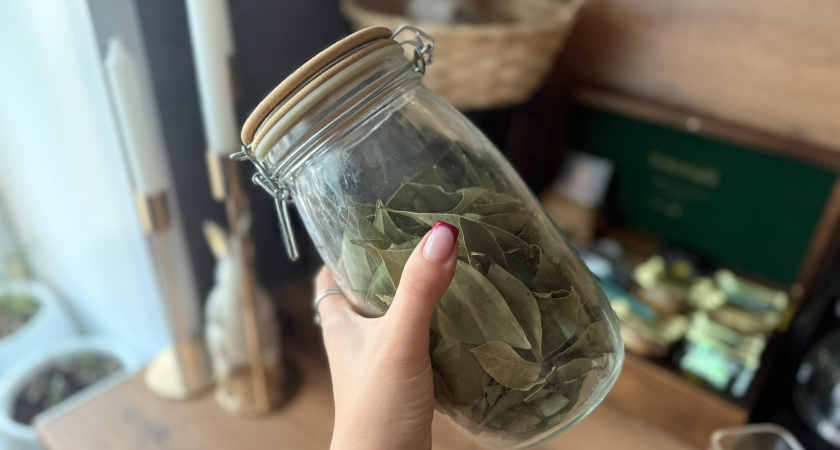 Бабушка всегда клала лавровый лист в бутылку с подсолнечным маслом: мы теперь дома делаем так же - перемены почувствовала вся семья 