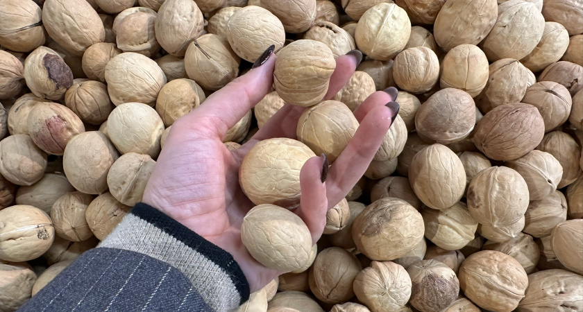 Почему в Европе грецкие орехи чистят совершенно по другому: узнал хитрый и быстрый способ - теперь щелкаем всей семьей