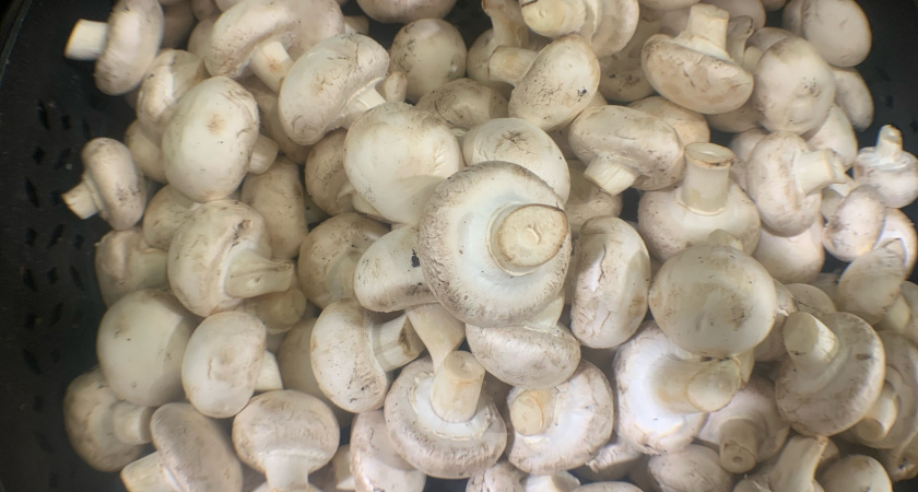 В Светофоре по полной закупаемся шампиньонами: запекаю, фарширую, добавляю в пиццу - честный отзыв с ценами